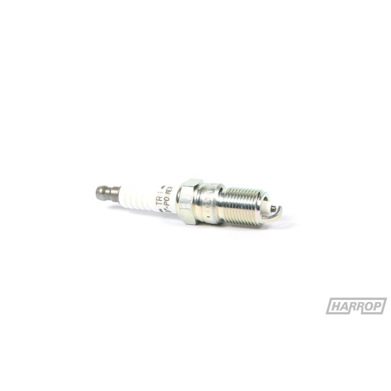 NGK TR6 Spark Plugs | SS & HSV LS V8